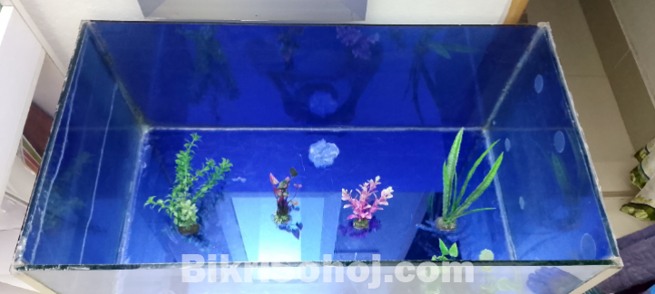 মাছের একুরিয়াম